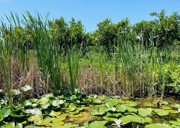 Calma * Ploce (Dubrovnik-Neretva)